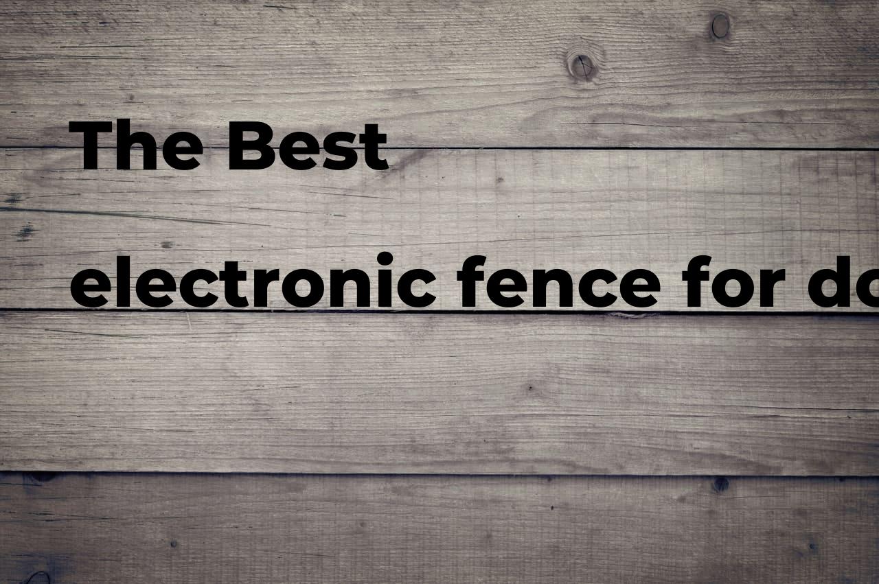 The best electronic fence for dogs Polimetro