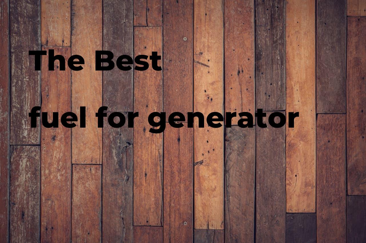 The best fuel for generator Polimetro