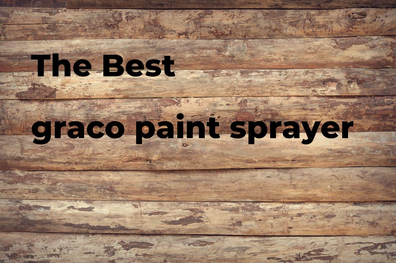 The best graco paint sprayer Polimetro
