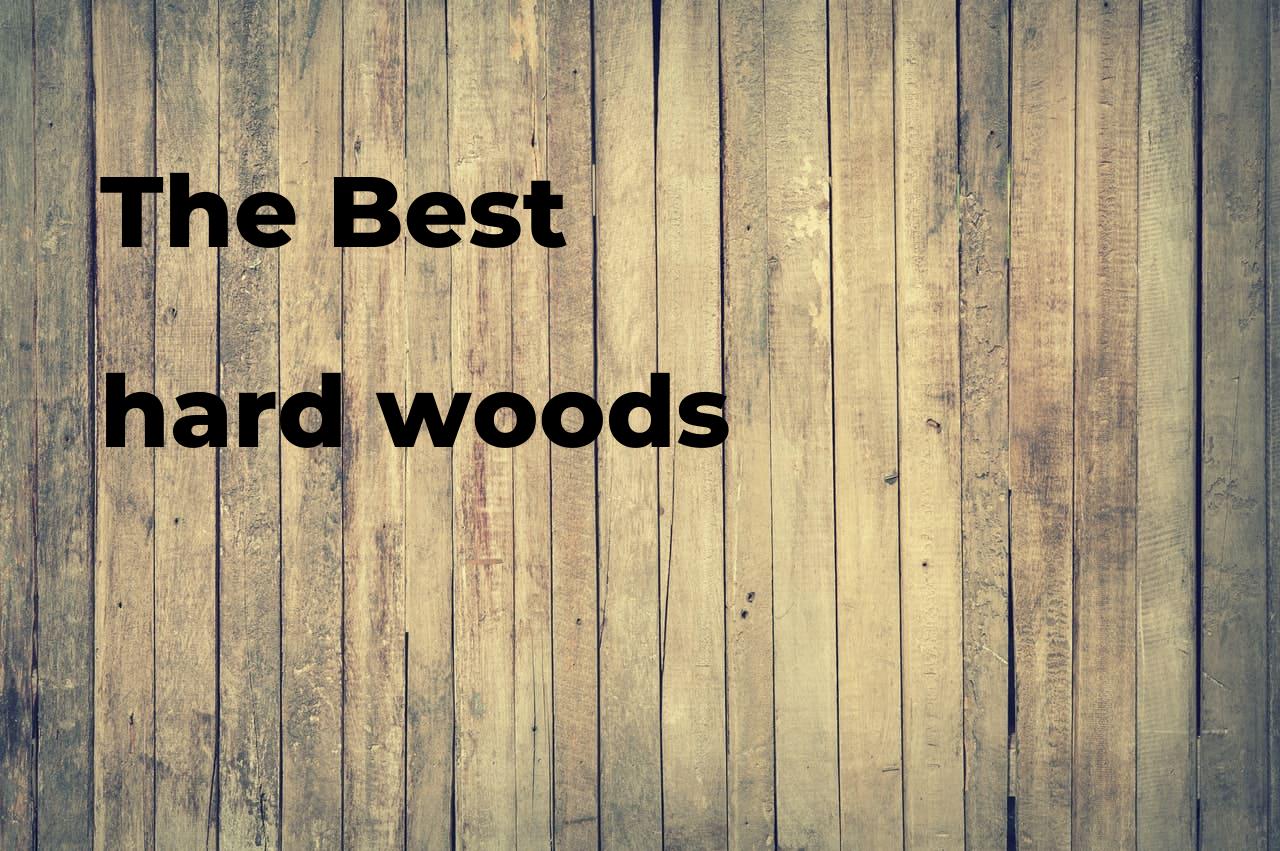 The best hard woods Polimetro