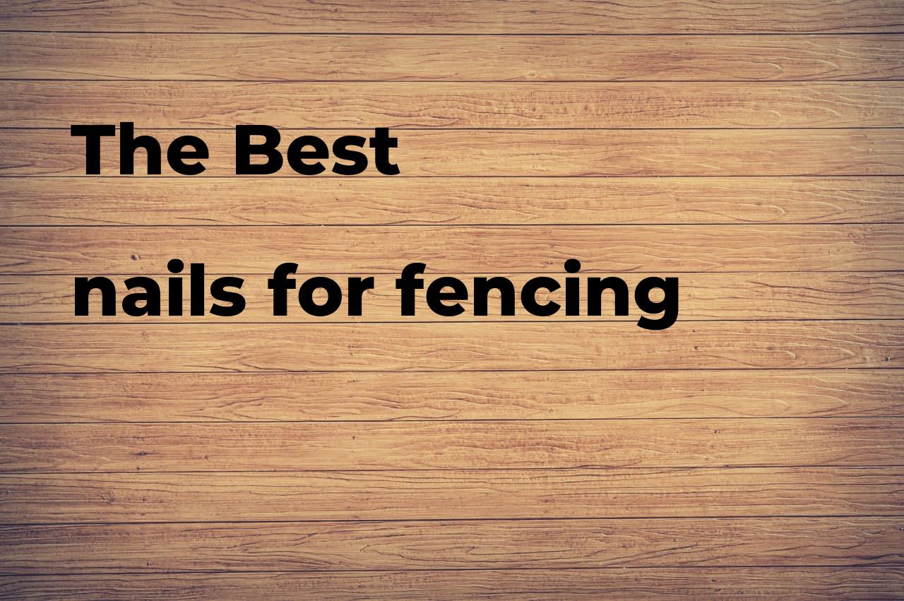 The best nails for fencing Polimetro