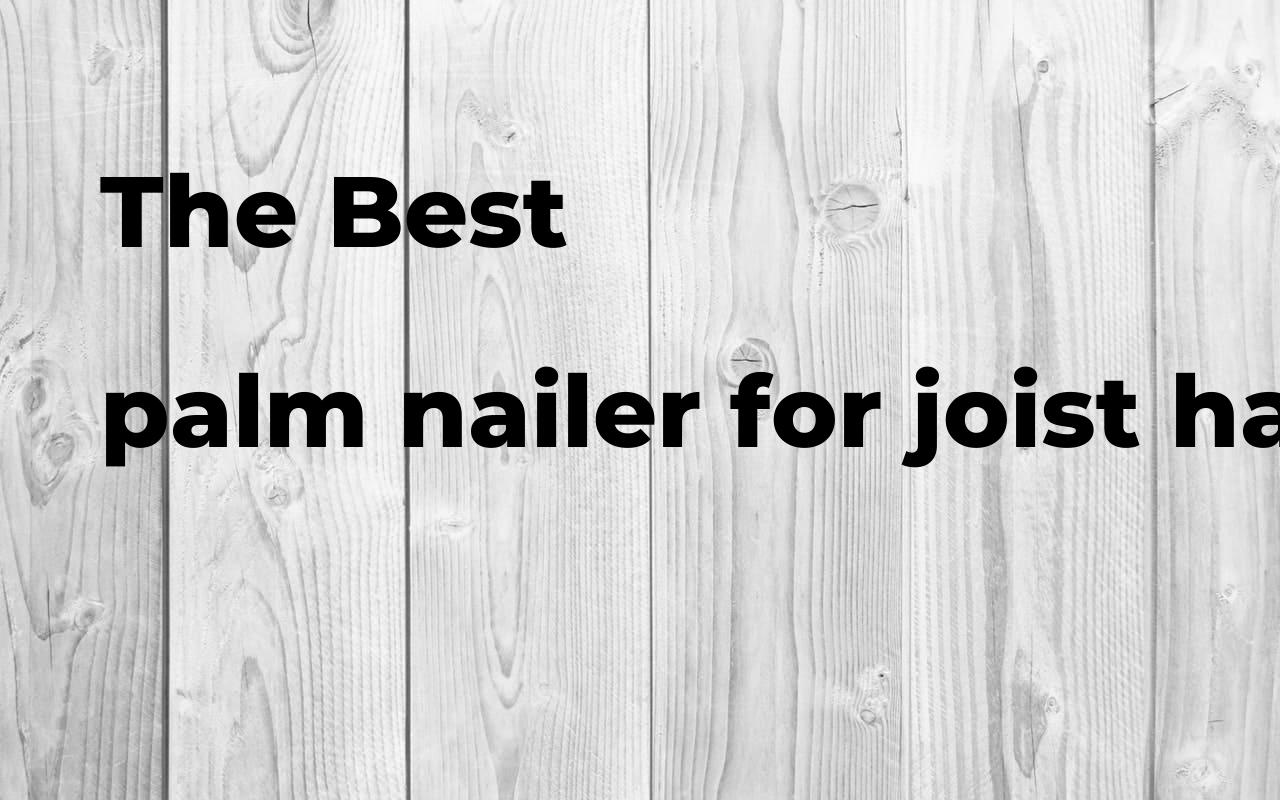 The best palm nailer for joist hanger Polimetro