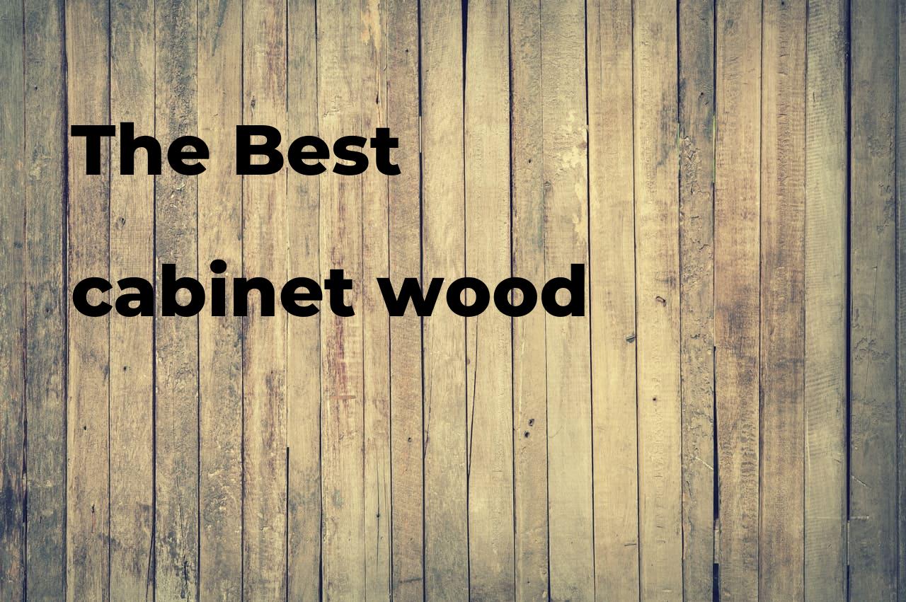 The best wood Polimetro