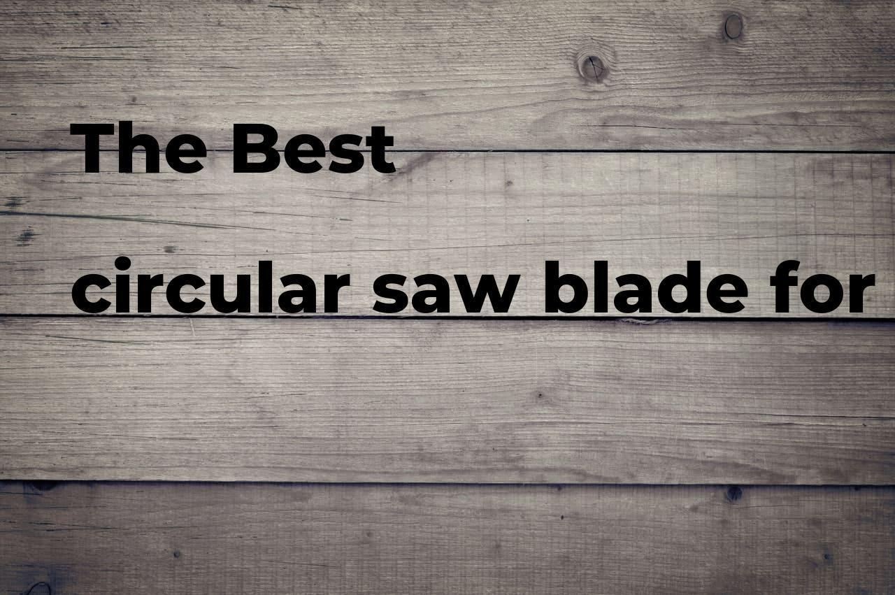 The best circular saw blade for cutting doors Polimetro