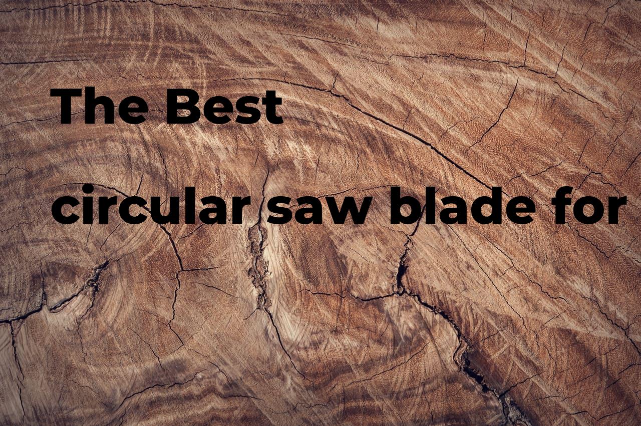 The best circular saw blade for cutting plywood Polimetro