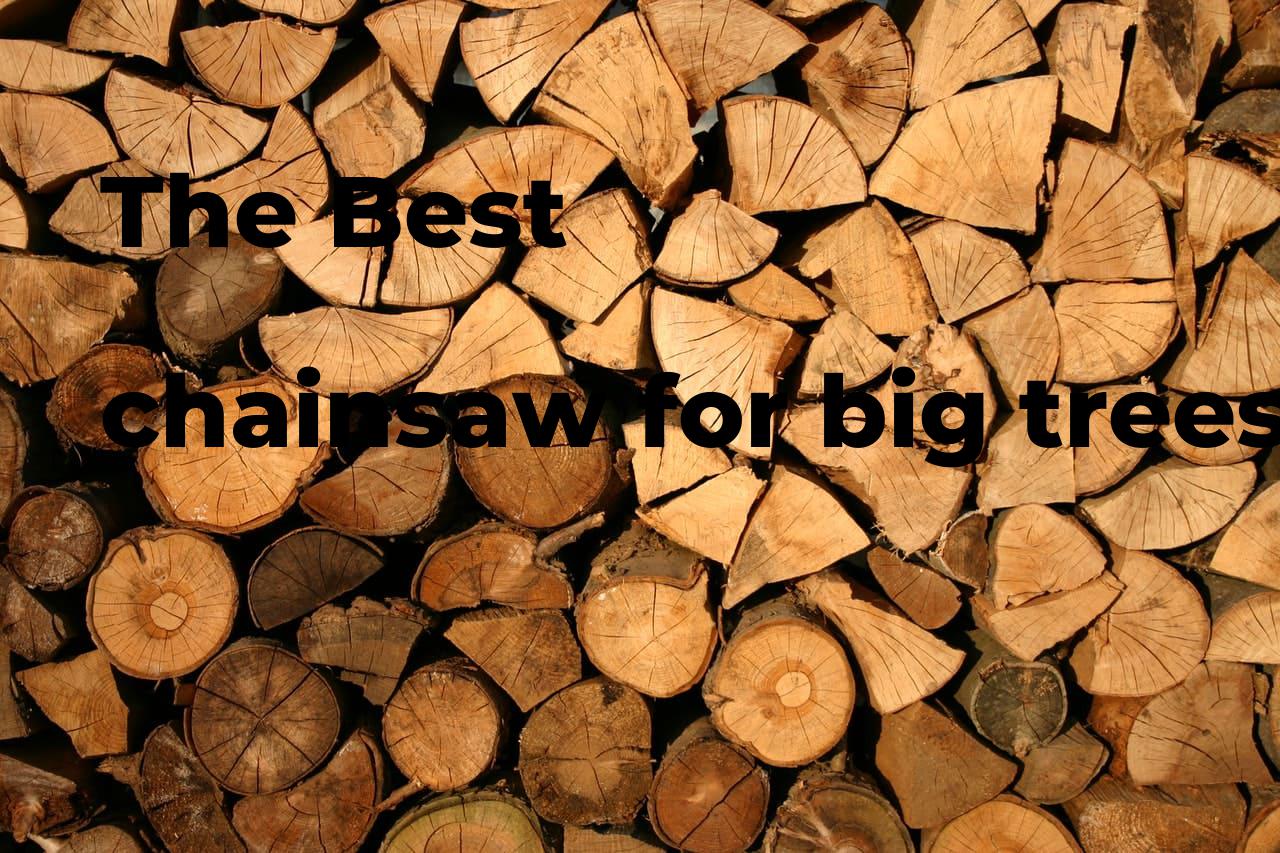 The best chainsaw for big trees. Brands, features & how to Polimetro