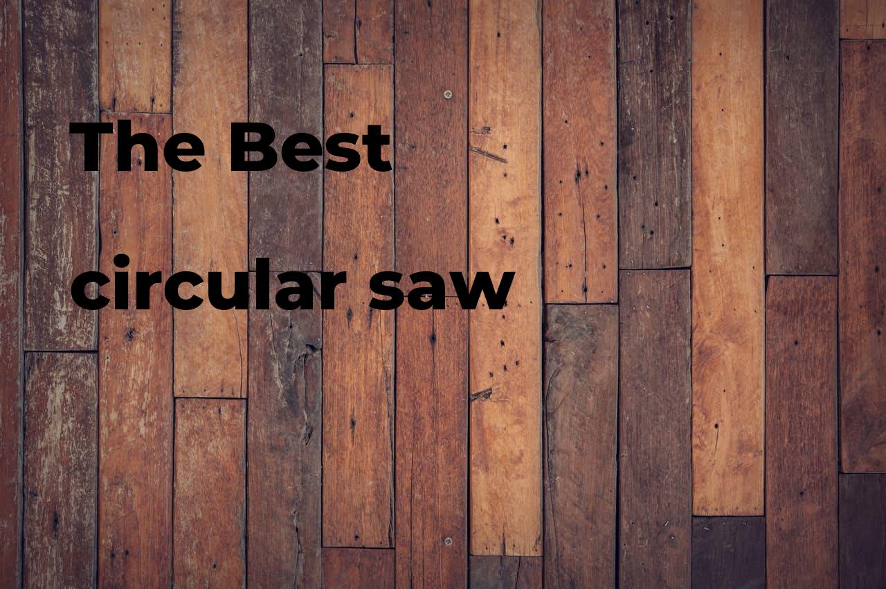 The best circular saw. Brands, features & how to Polimetro
