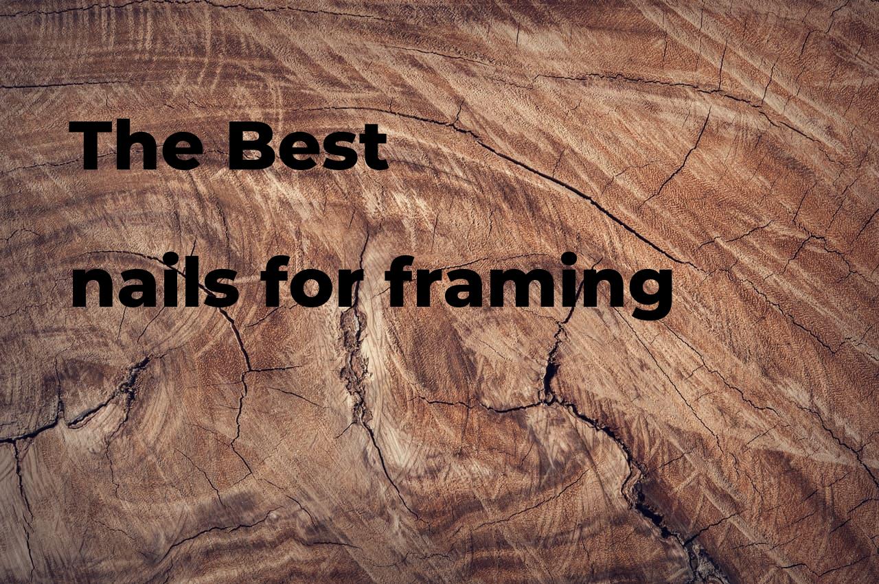 The best nails for framing. Brands, features & how to Polimetro