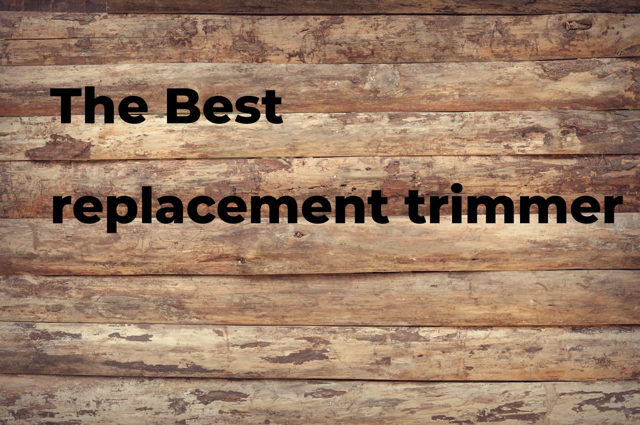 The best replacement trimmer head. Brands, features & how to Polimetro