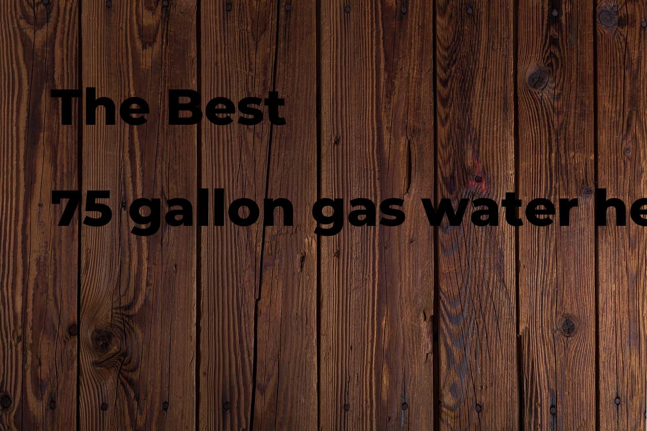 The best 75 gallon gas water heater. Brands, features & how to Polimetro