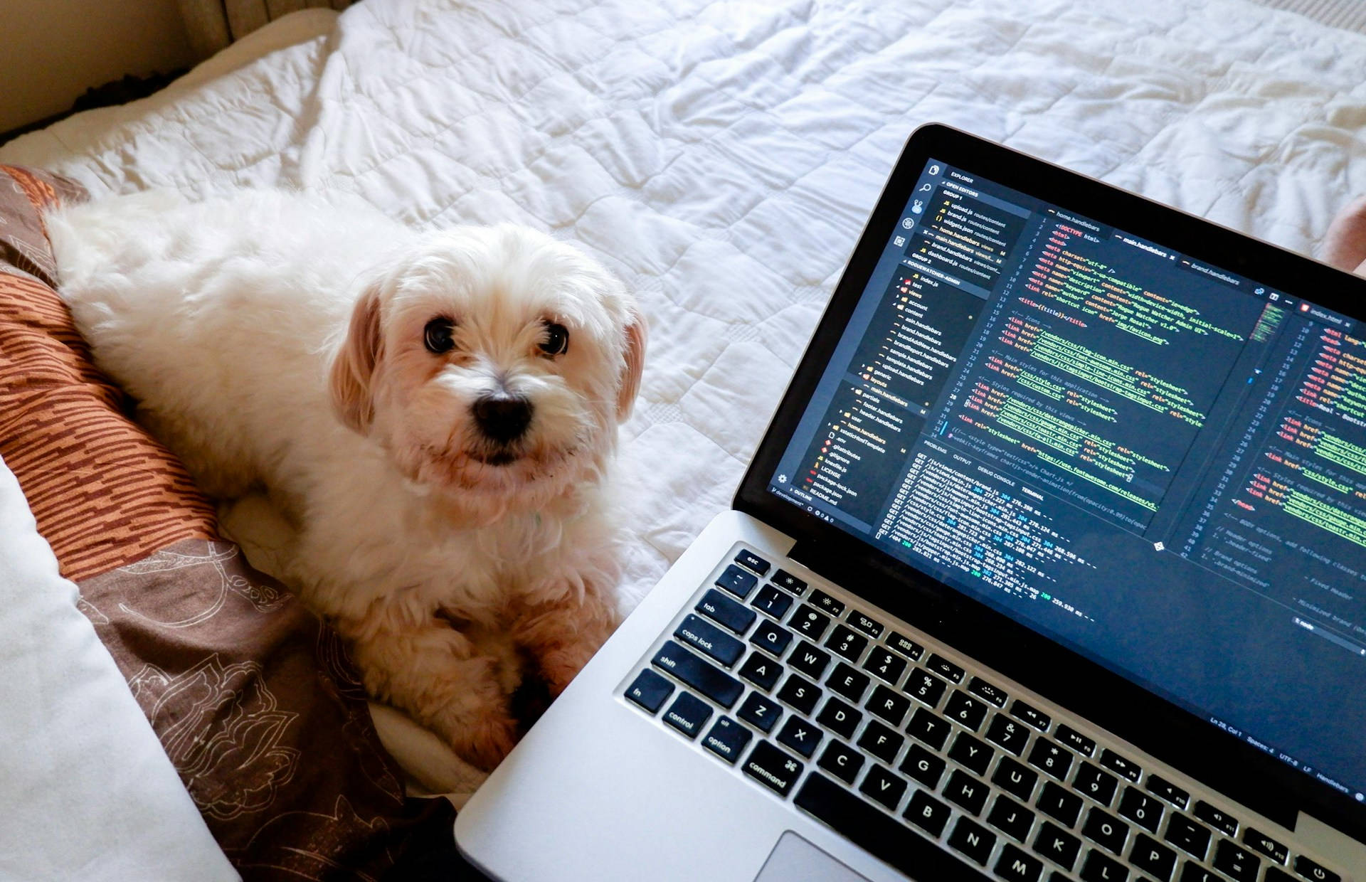 Qué es El Vibe Coding