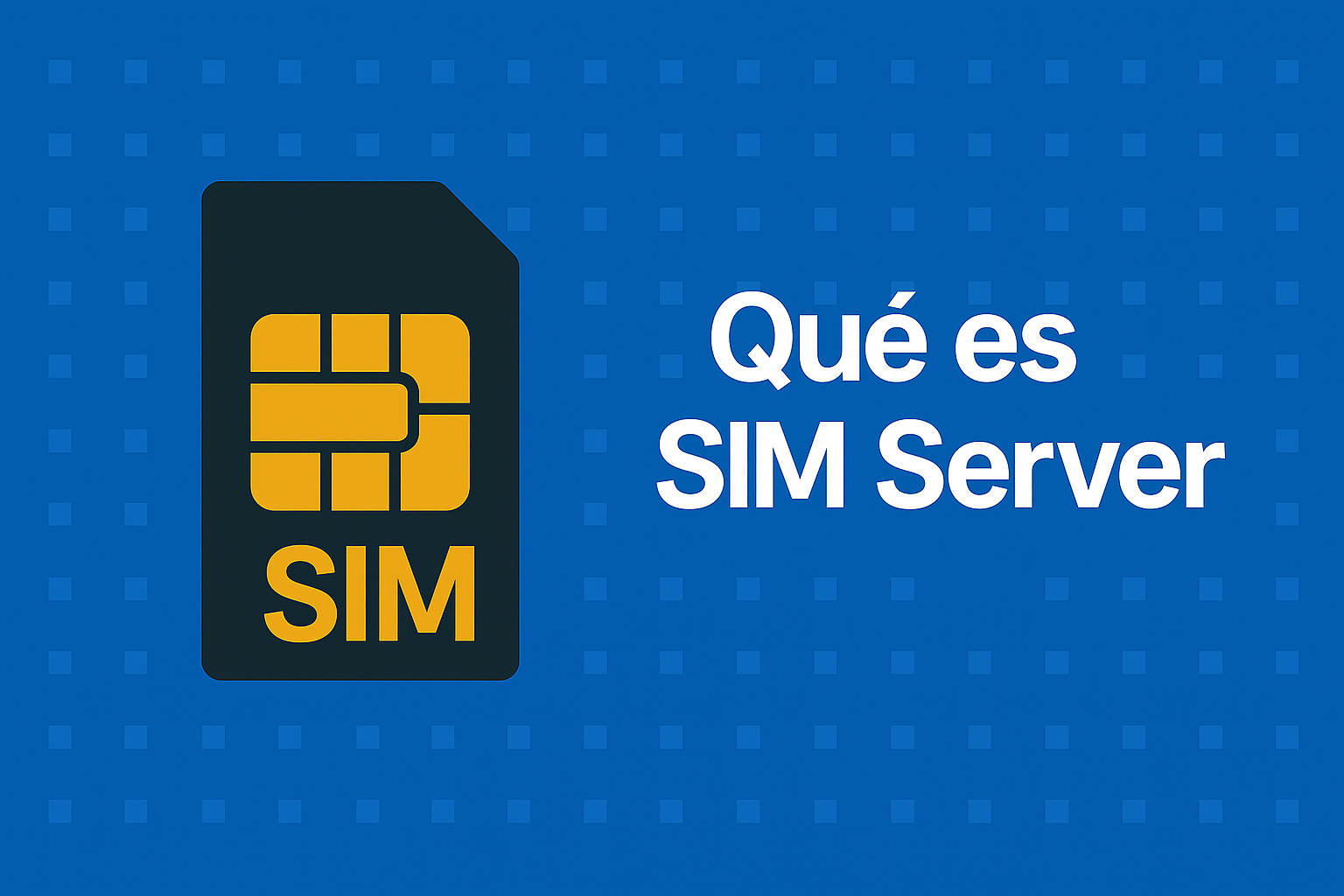 Qué es SIM Server